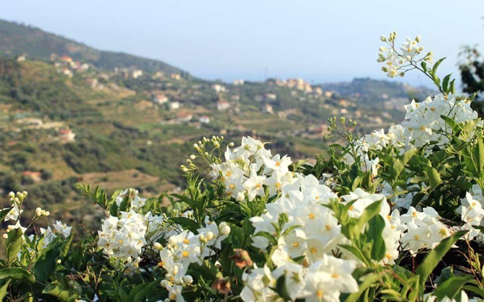 Agriturismo Da Lui Bordighera Exterior photo